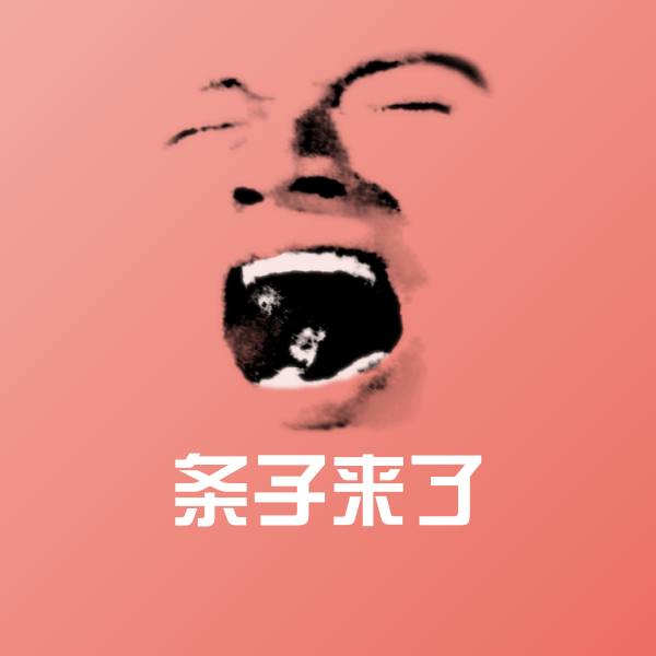 高清条子来了表情图片