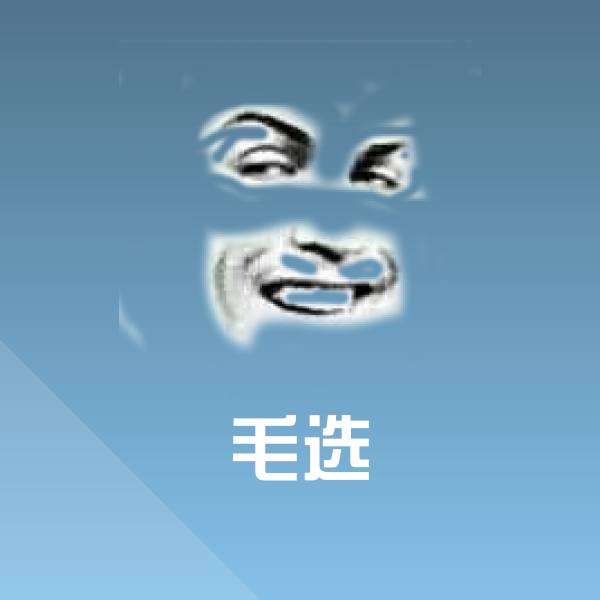 毛选表情包