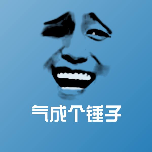 气成个锤子表情包