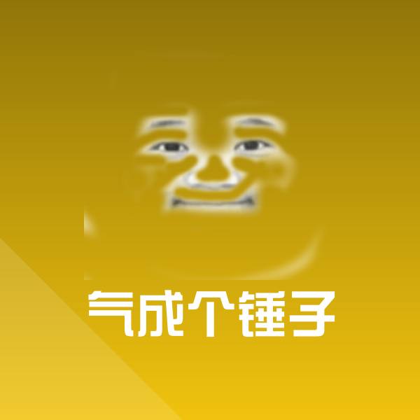 气成个锤子表情包