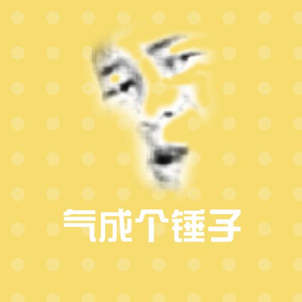 气成个锤子表情包