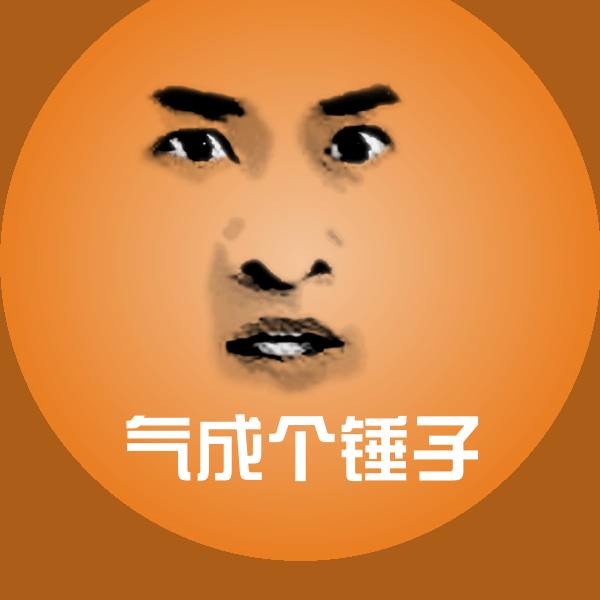 气成个锤子聊天表情