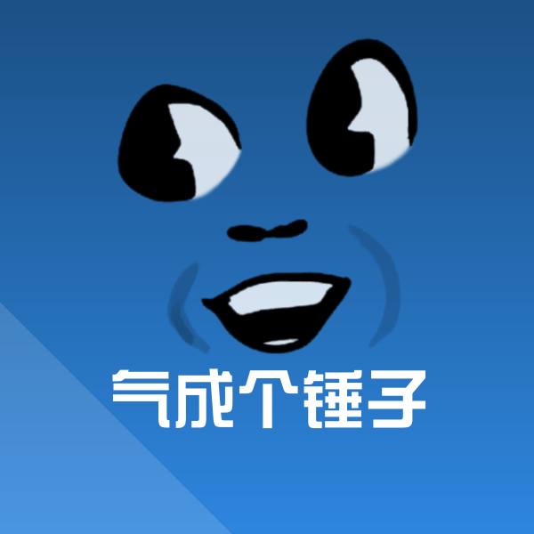 气成个锤子表情包