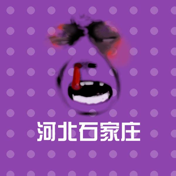 原创河北石家庄表情包