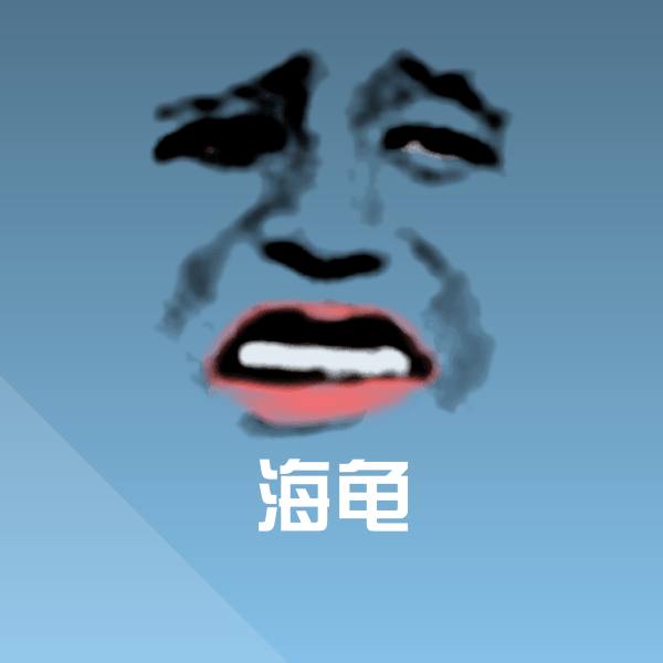 海龟斗图图片 第1张
