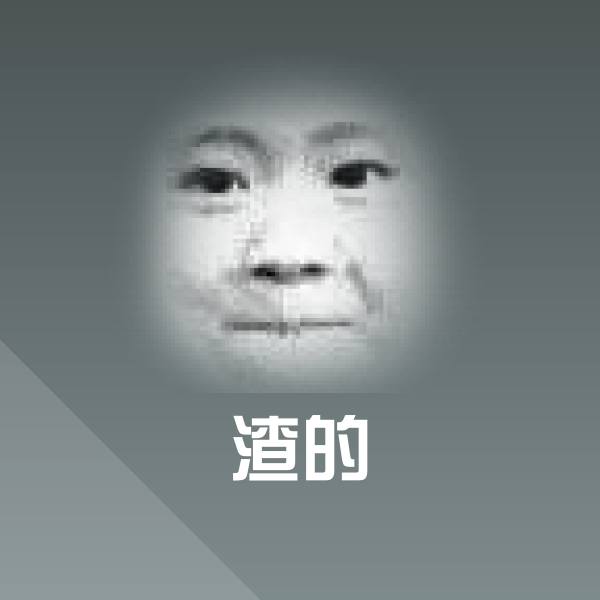 渣的表情包