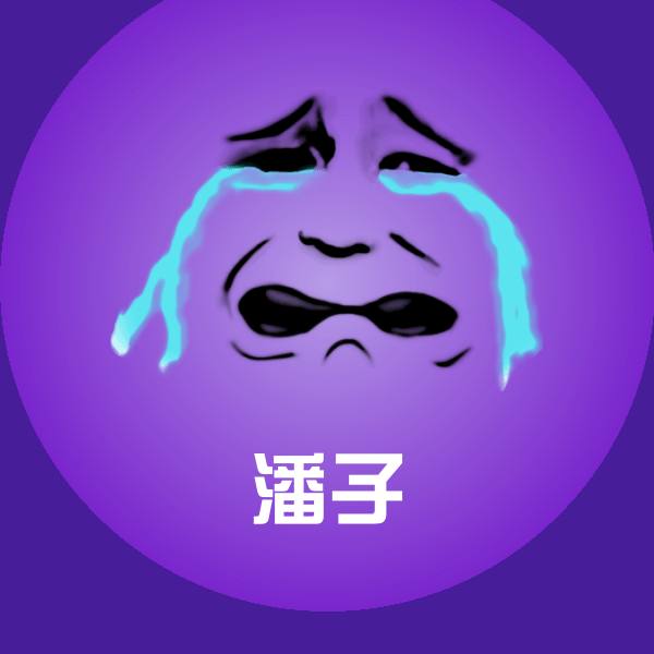 搞笑潘子表情 第1张