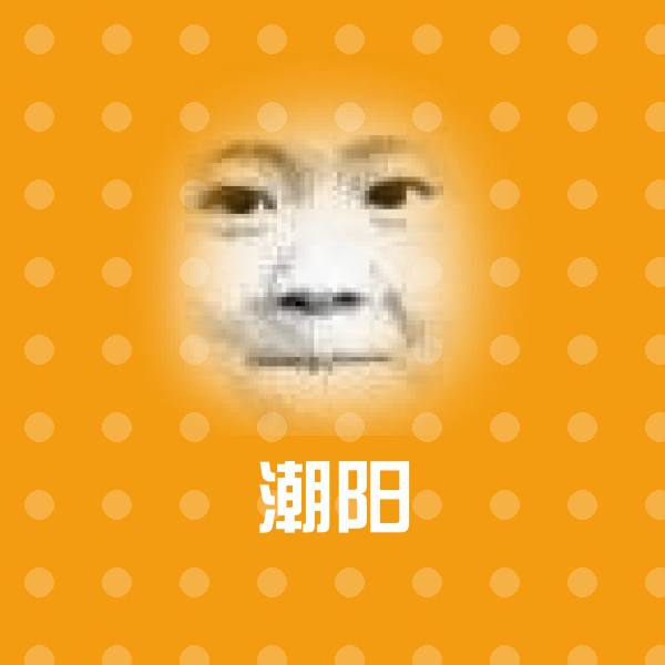 潮阳微信表情包 第1张