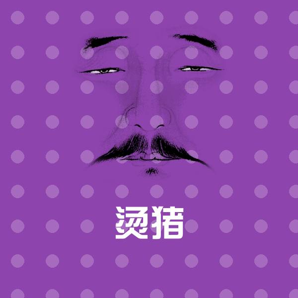 原创烫猪表情包