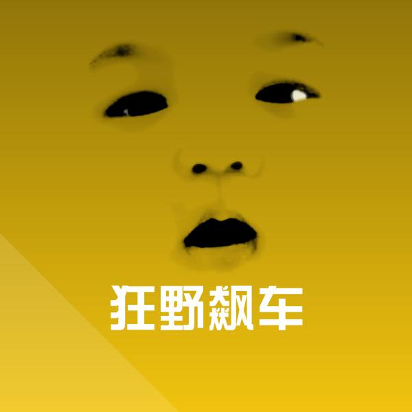 原创狂野飙车表情包