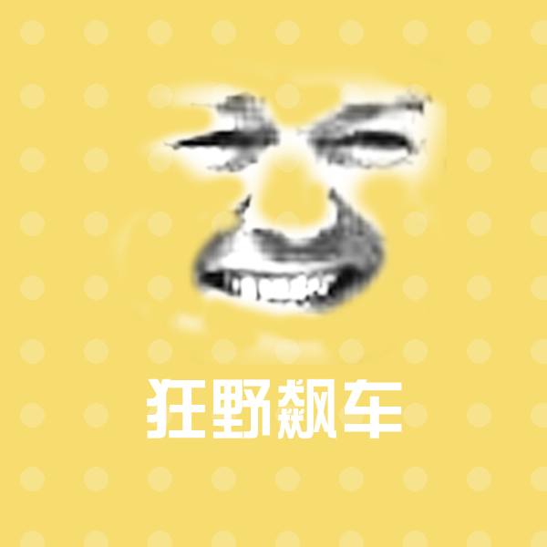 狂野飙车表情包