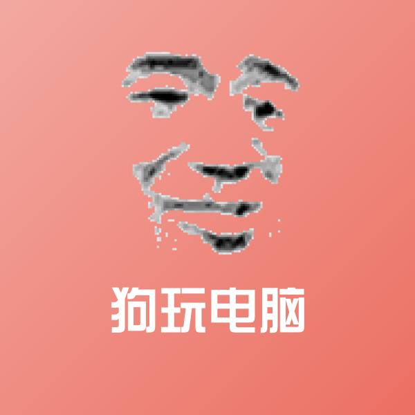 高清狗玩电脑表情图片
