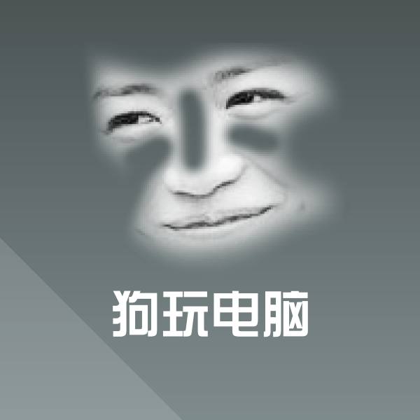 高清狗玩电脑表情图片