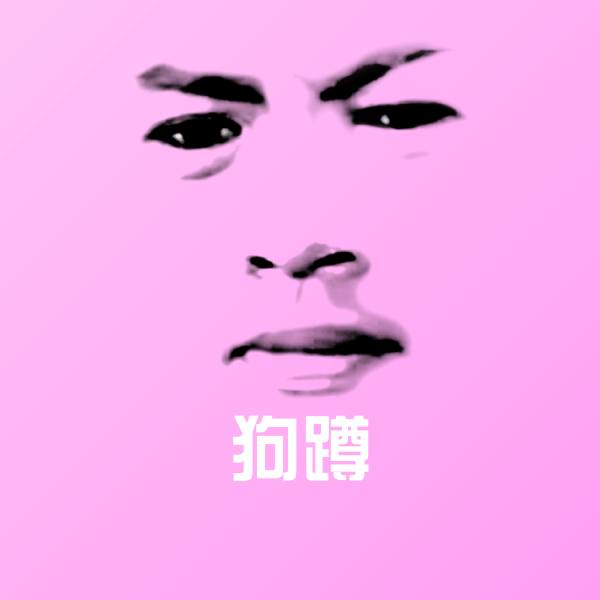 狗蹲表情包