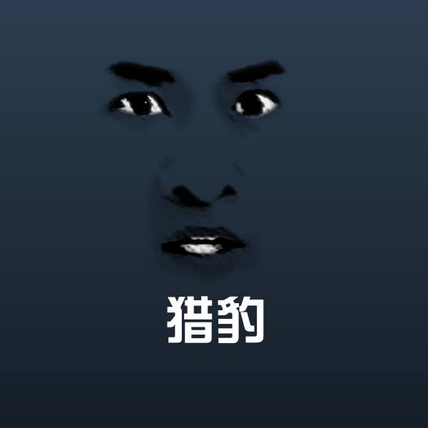 猎豹沙雕表情包