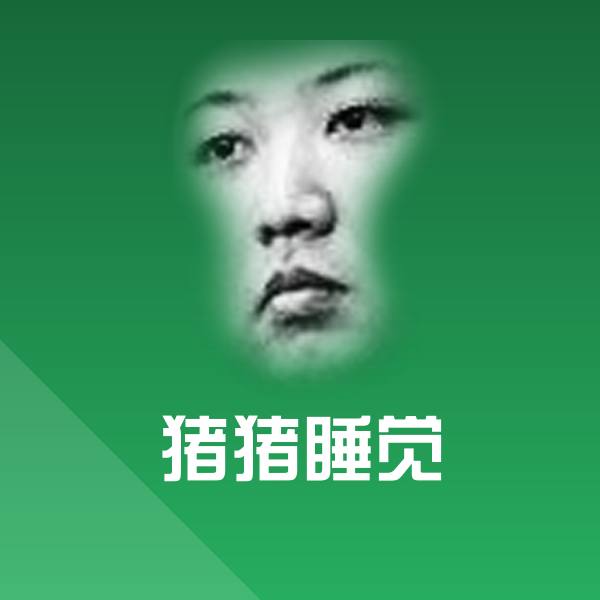 猪猪睡觉斗图图片