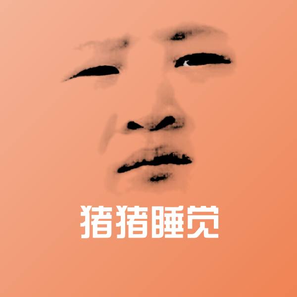 猪猪睡觉表情包