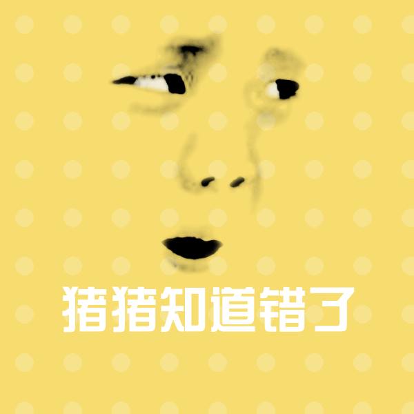 可爱猪猪知道错了表情