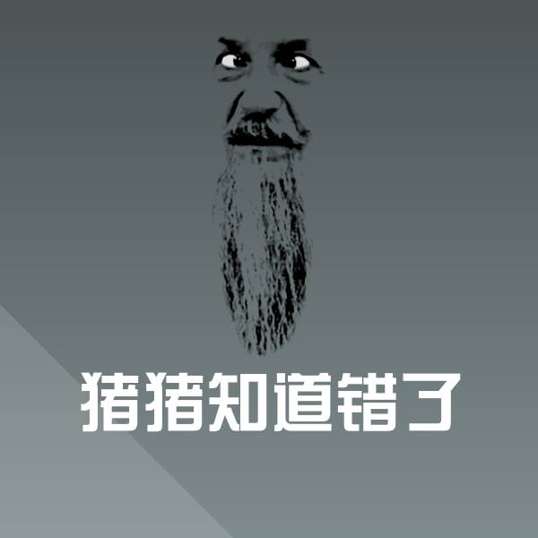 原创猪猪知道错了表情包