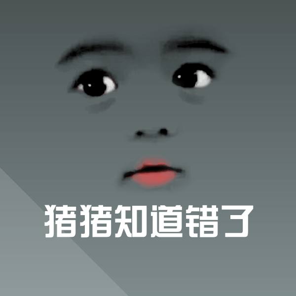 原创猪猪知道错了表情包