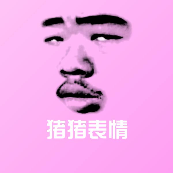 可爱猪猪表情表情 第24张