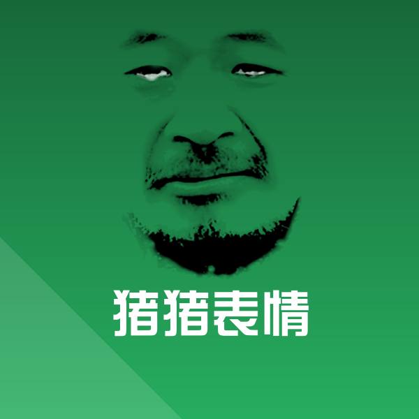 猪猪表情表情包