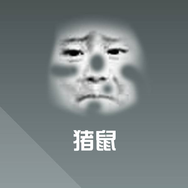 搞笑猪鼠表情 第1张