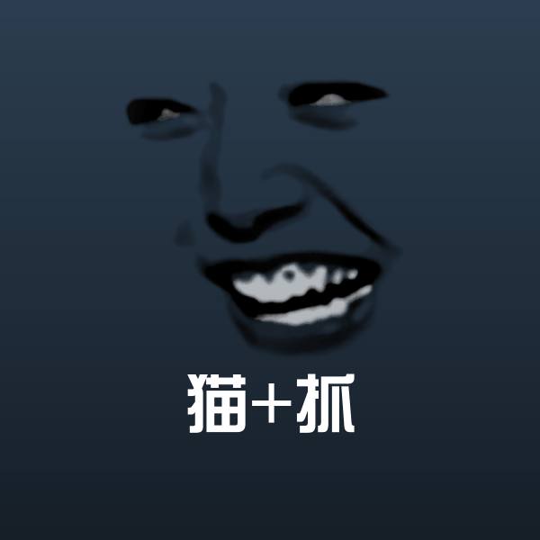 高清猫+抓表情图片