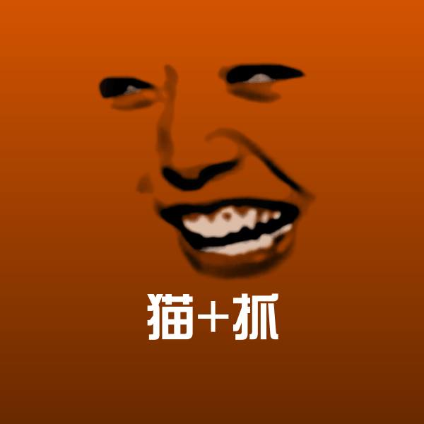 高清猫+抓表情图片