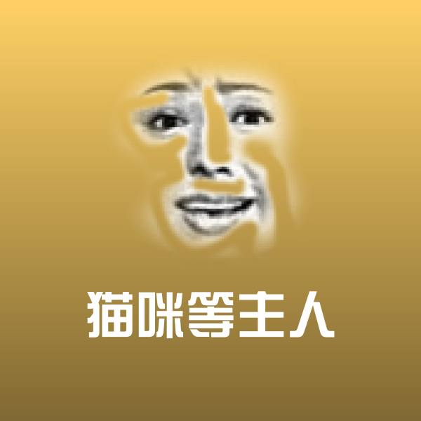 搞笑猫咪等主人表情
