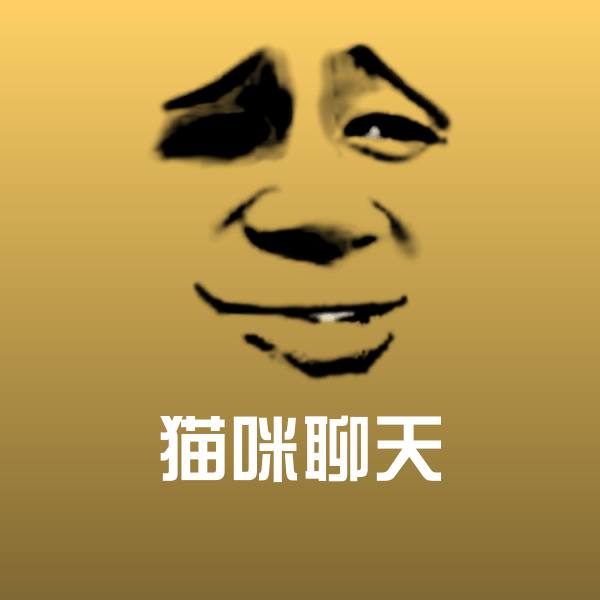 高清猫咪聊天表情图片