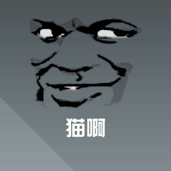 猫啊表情包