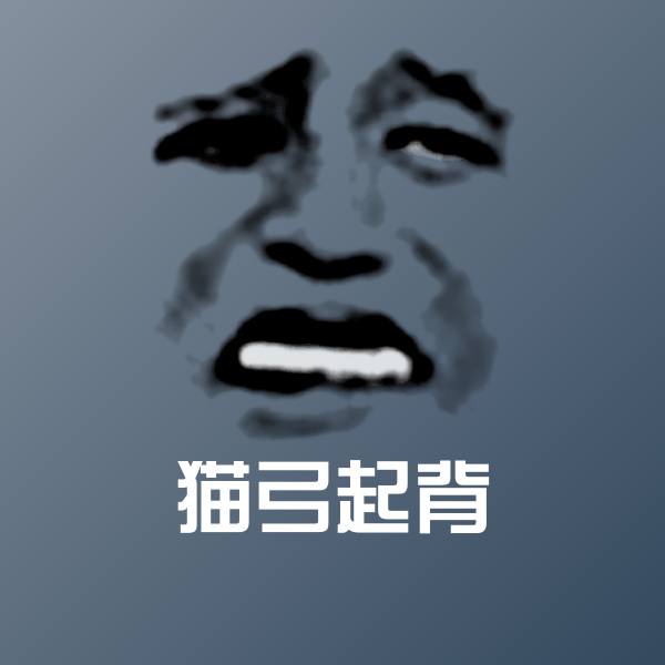 猫弓起背斗图图片