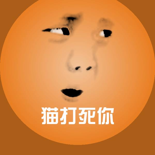 猫打死你斗图神器