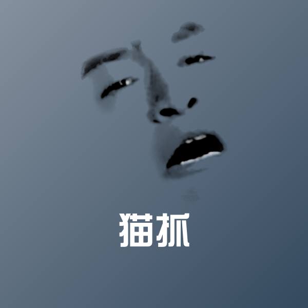 猫抓表情包