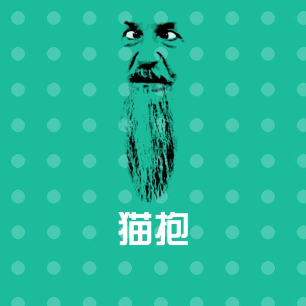 高清猫抱表情图片