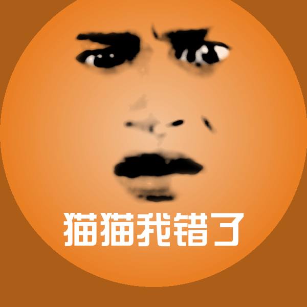 搞笑猫猫我错了表情