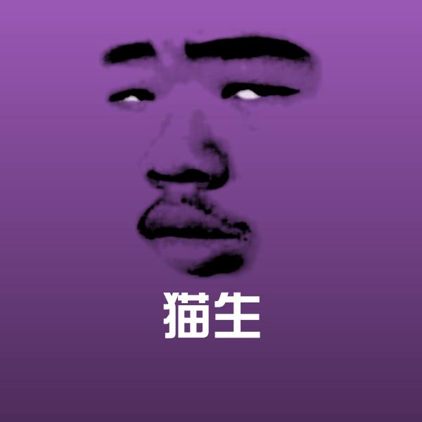 搞笑猫生表情
