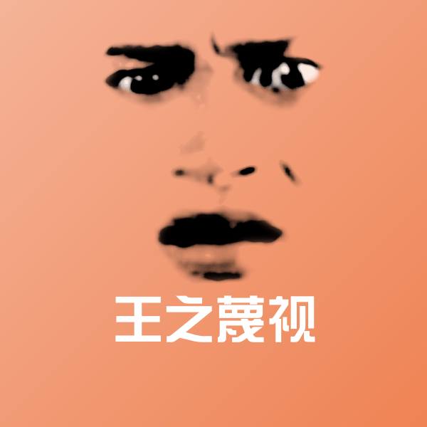 王之蔑视微信表情包
