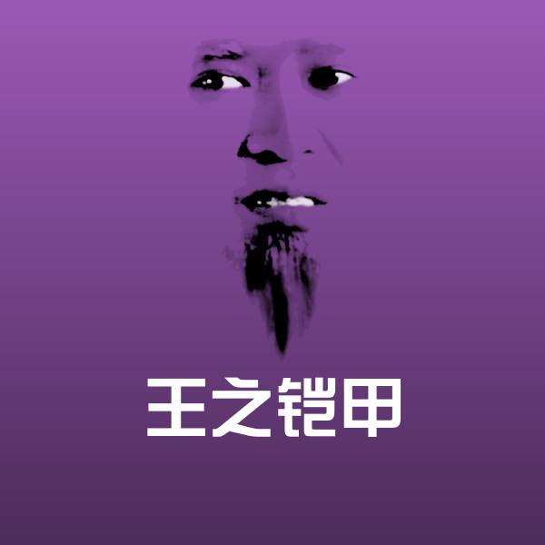 王之铠甲表情包