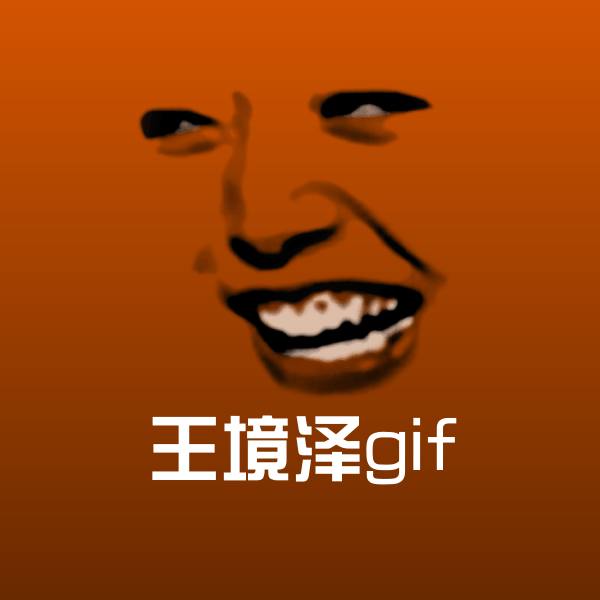 搞笑王境泽gif表情
