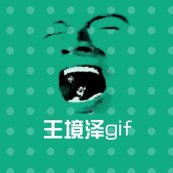 原创王境泽gif表情包