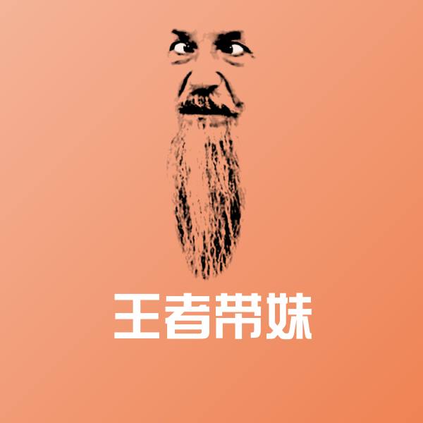 王者带妹表情包