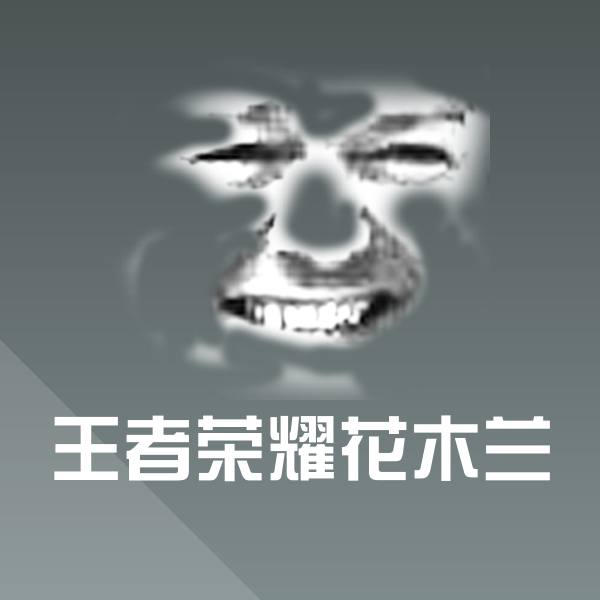 高清王者荣耀花木兰表情图片