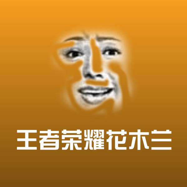 王者荣耀花木兰斗图图片