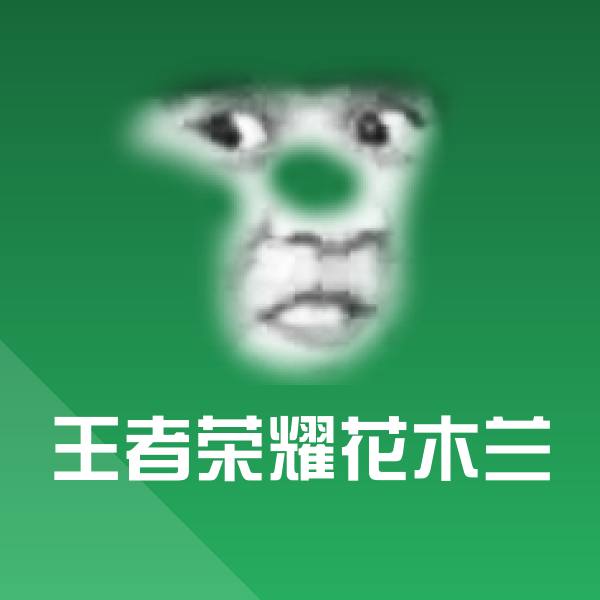 搞笑王者荣耀花木兰表情
