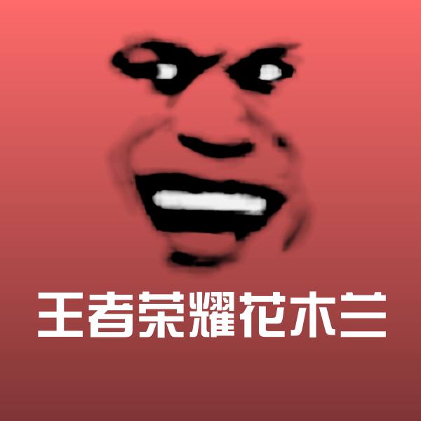 王者荣耀花木兰斗图图片