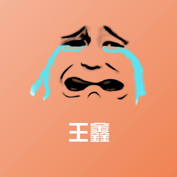 王鑫聊天表情 第1张