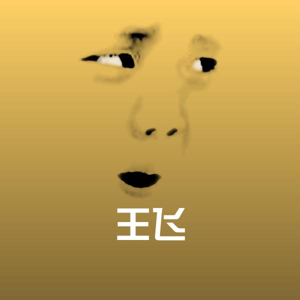 高清王飞表情图片