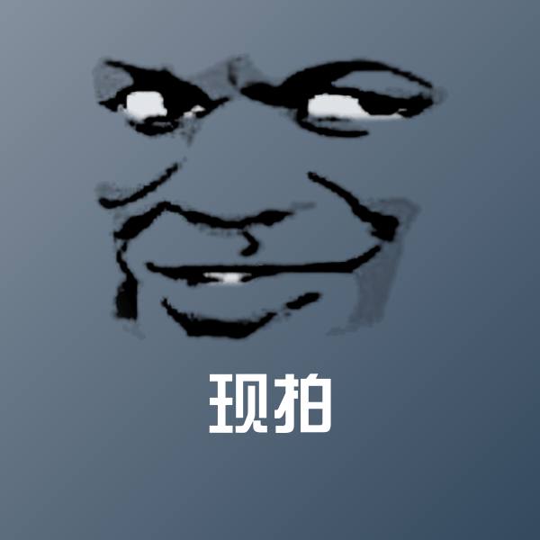 现拍聊天表情